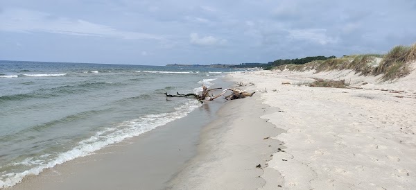 Sandhammaren 5