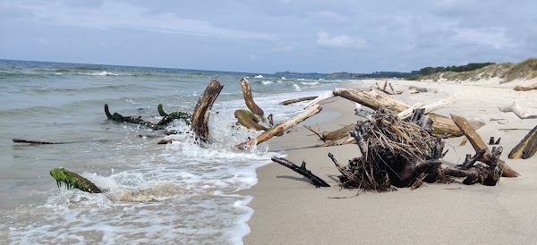Sandhammaren 3