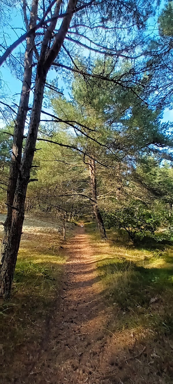 Sandhammaren 2