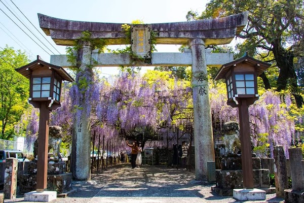Fujiyama Shrine