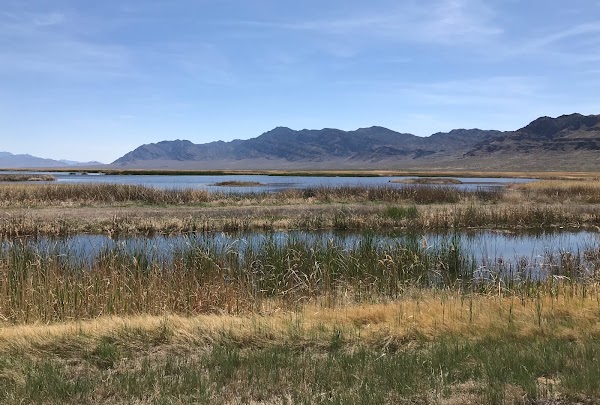 Fish Springs National Wildlife Refuge