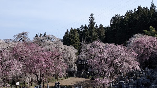 Seiunji 1