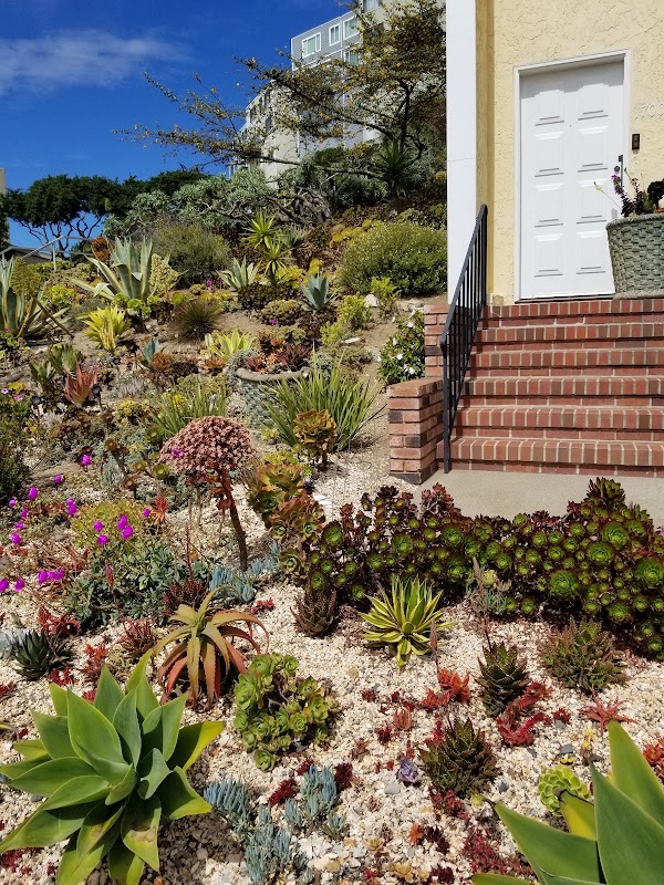 16th Avenue Tiled Steps 3