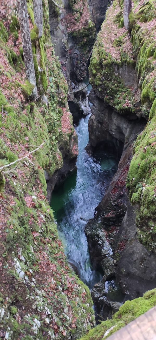 Stara Fužina 5