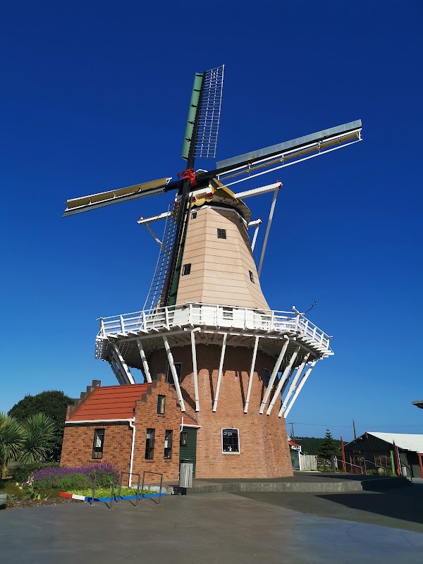 De Molen 5