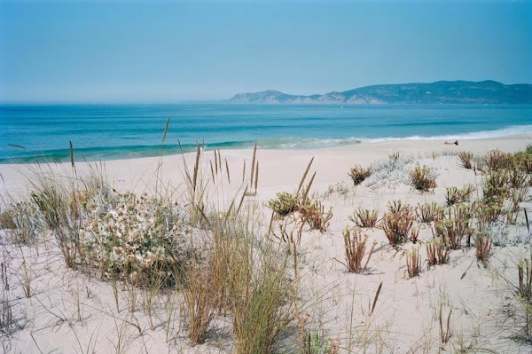 Comporta
