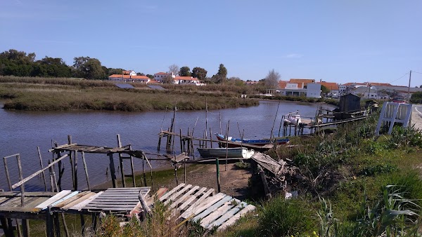 Comporta 5