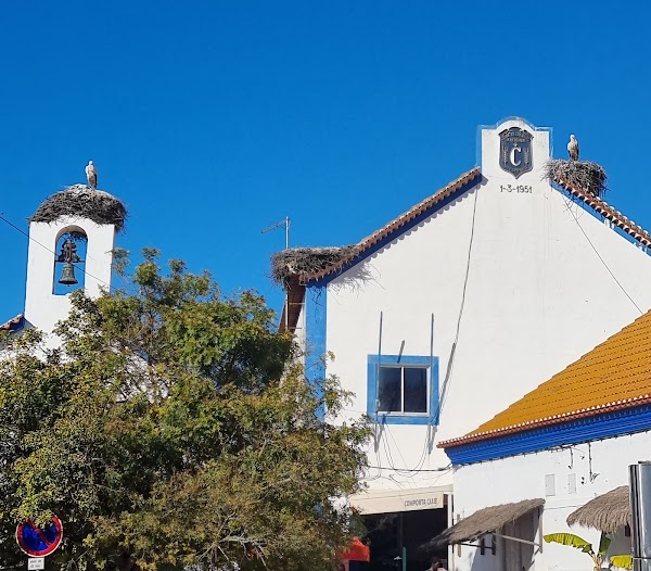 Comporta 3