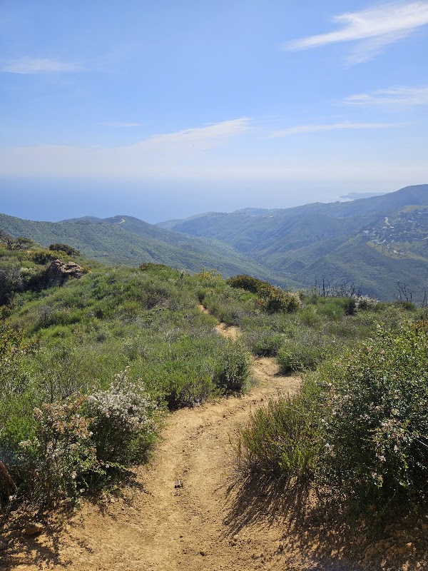 McAuley Peak 2