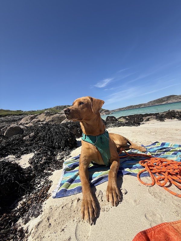 Achmelvich Beach 4