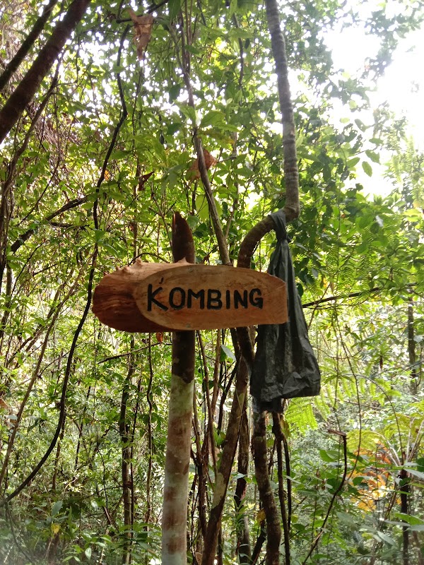 Starting point to TnTDaralamas River Canyon, Kg Tiang Lama Eco Tourism (Balai Raya)