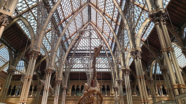 Oxford University Museum of Natural History 4