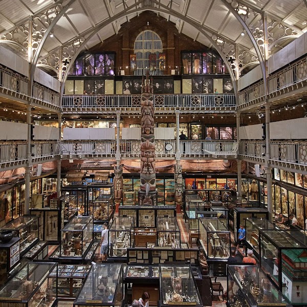 Oxford University Museum of Natural History 3