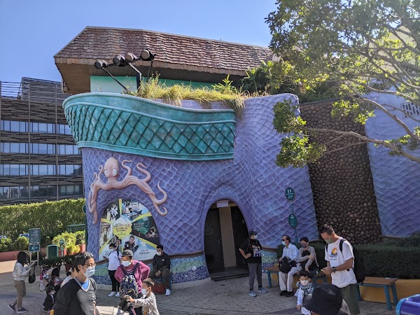 Ocean Park 4