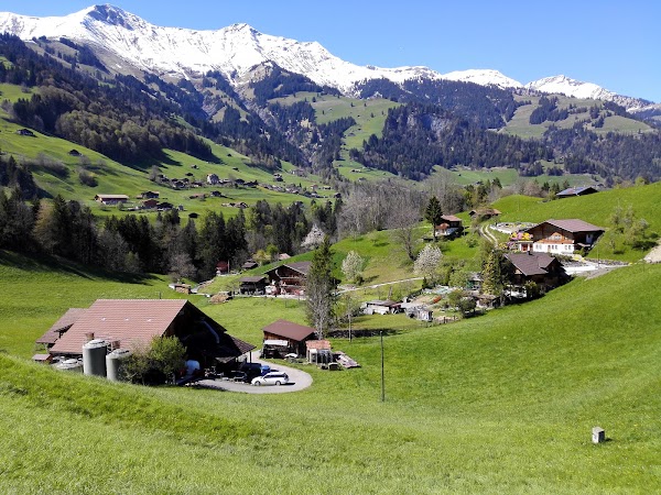 Frutigen 5