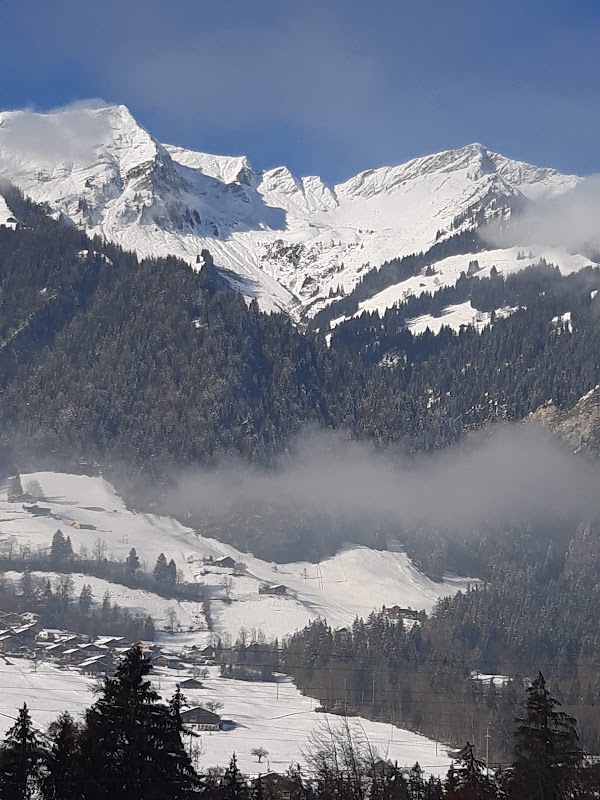 Frutigen 4