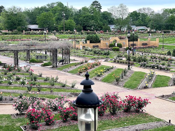 Tyler Rose Garden