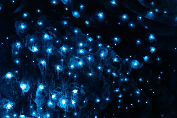 RealNZ | Te Anau Glowworm Caves 1