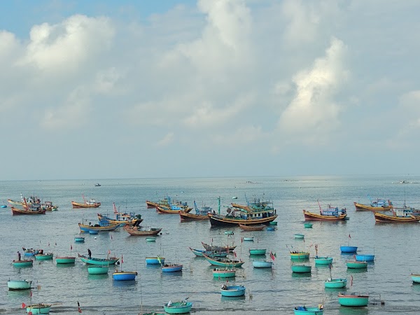 Mui Ne Fishing Harbour
