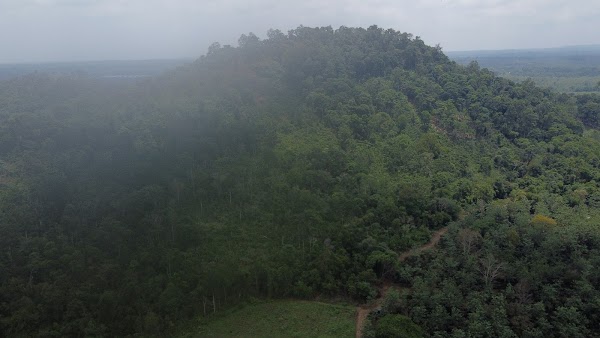 Bolaven Plateau 1