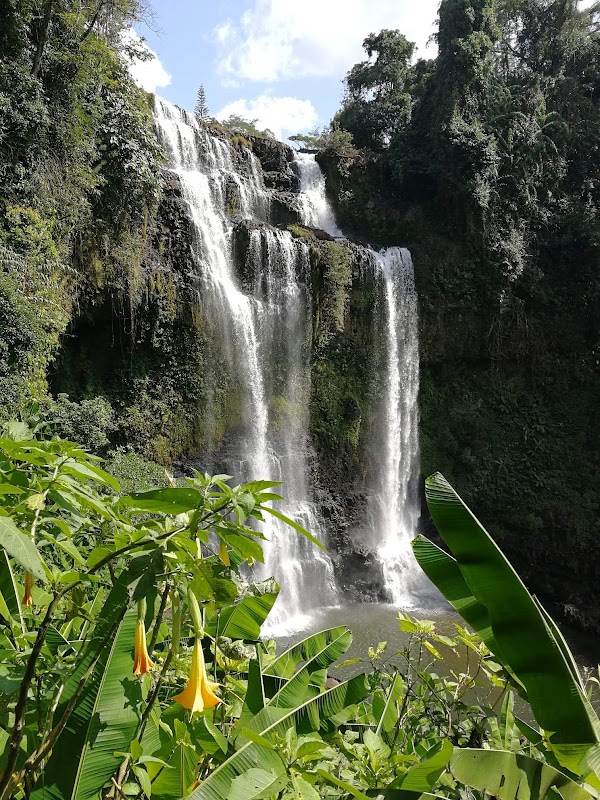 Bolaven Plateau 5