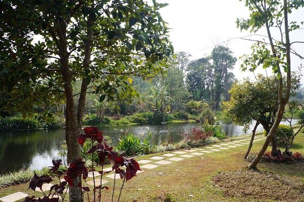 Bolaven Plateau 3