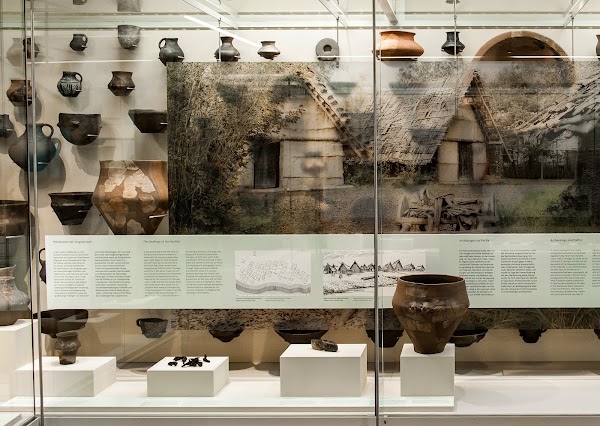 Museum of the University of Tübingen (MUT)