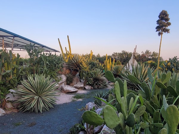 Khu bảo tồn xương rồng Cactizone 5