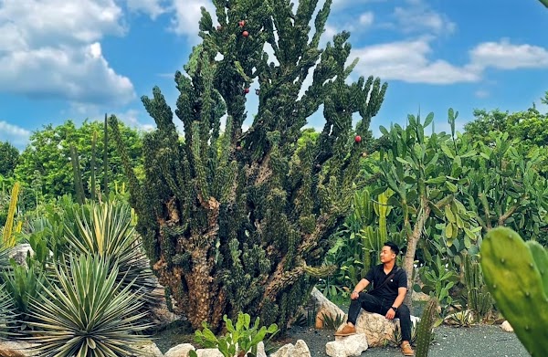Khu bảo tồn xương rồng Cactizone 3