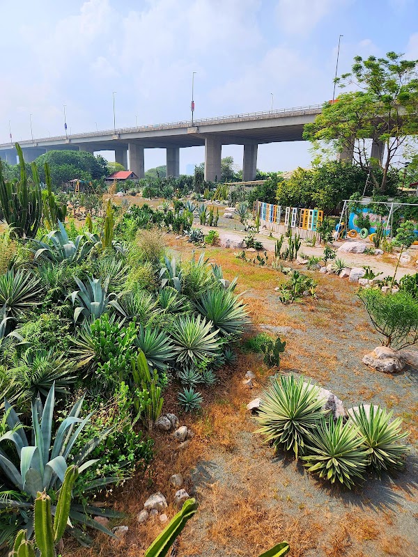 Khu bảo tồn xương rồng Cactizone 2