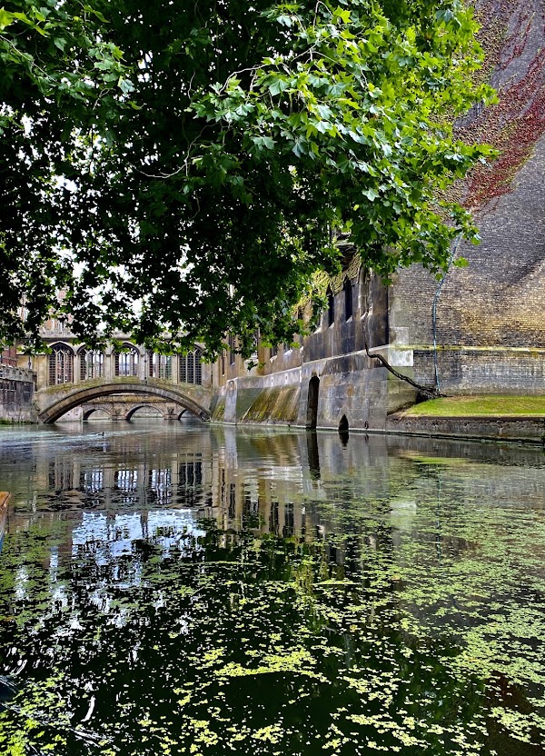 Mathematical Bridge 3