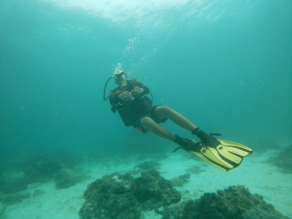 Wrecked Plane Point