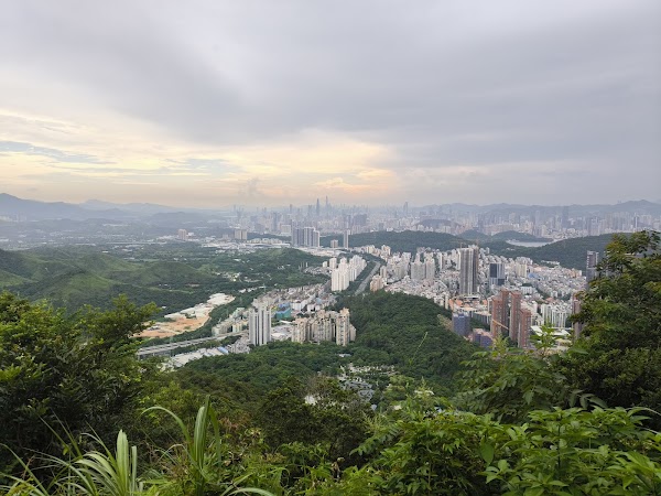Wutong Mountain 4