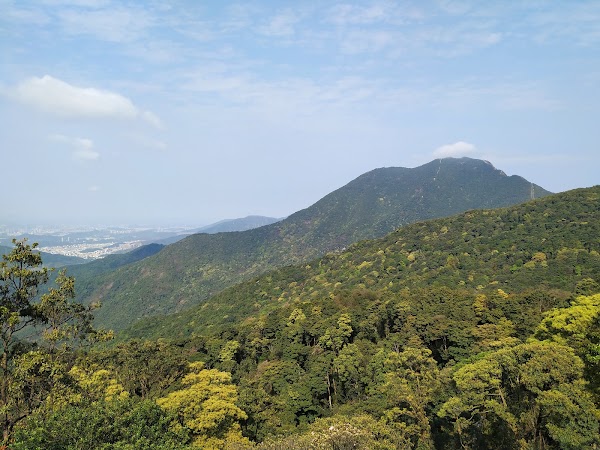 Wutong Mountain 2
