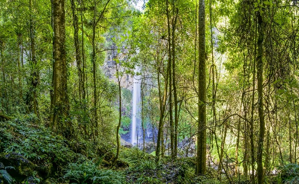 Rawson Falls 1