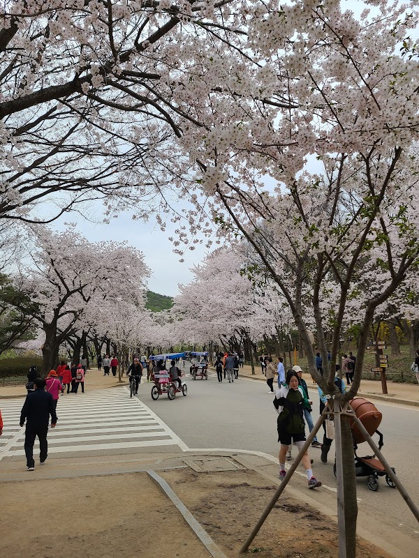 Incheon Grand Park Children's Zoo 1