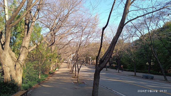 Incheon Grand Park Children's Zoo 5