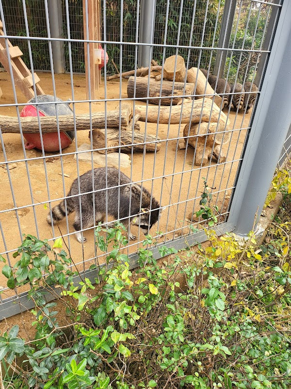 Incheon Grand Park Children's Zoo 2
