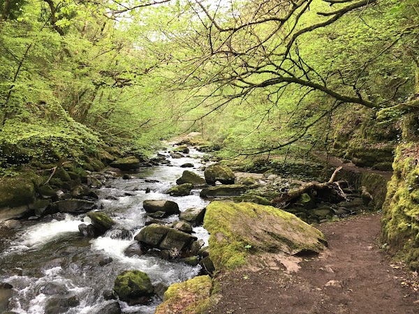 East Lyn River