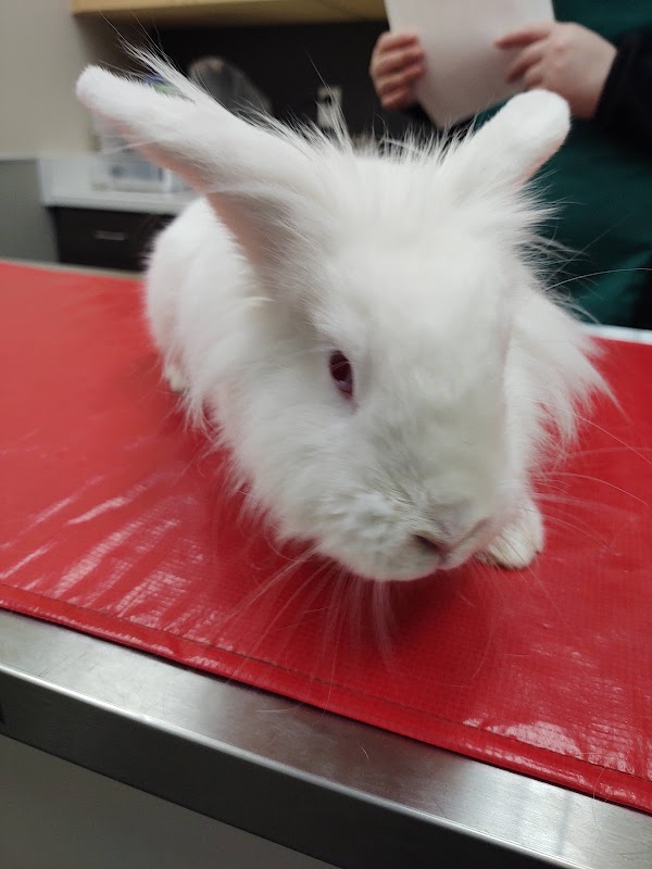 Peninsula Humane Society & SPCA 2