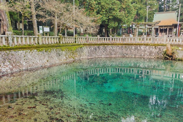 Japan 24