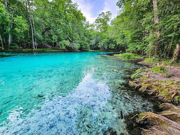 Ruth B. Kirby Gilchrist Blue Springs State Park