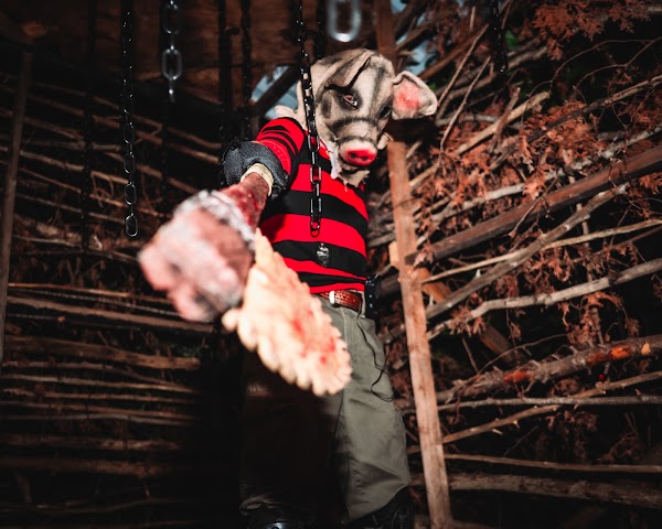 Bingemans Screampark 1