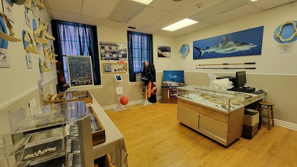 Living Sharks Museum 4