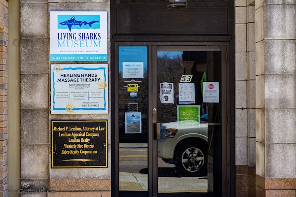 Living Sharks Museum 3