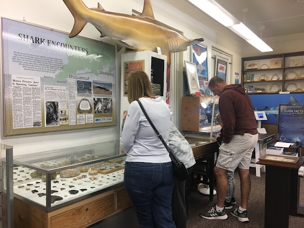 Living Sharks Museum 2