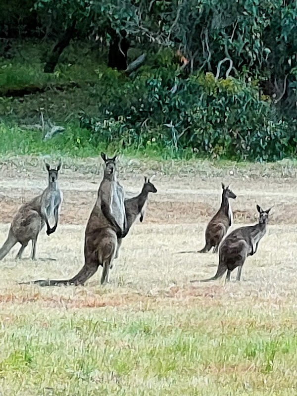 Margaret River
