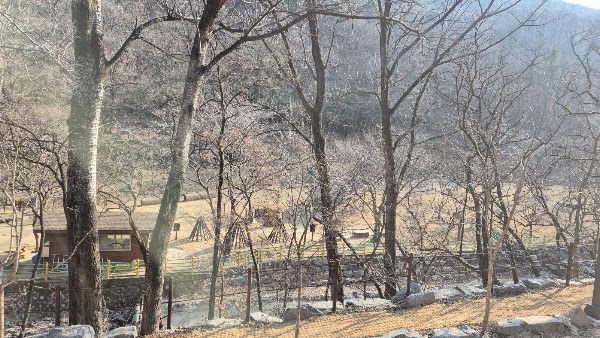 수성 대흥동 유아숲체험원 4