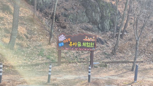 수성 대흥동 유아숲체험원 3
