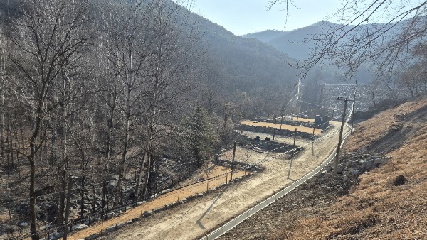 수성 대흥동 유아숲체험원 2